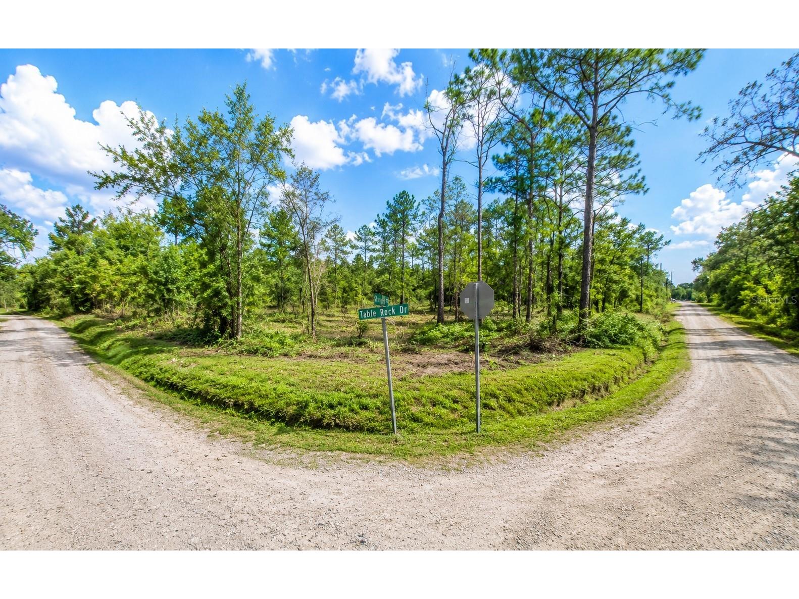 Millrock Street Webster FL 33597 TB8527758 image1
