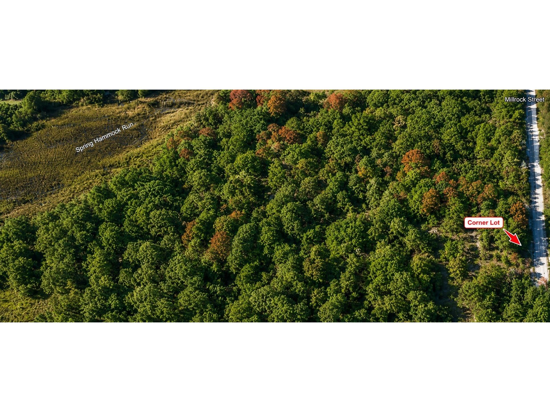 Millrock Street Webster FL 33597 TB8527758 image2