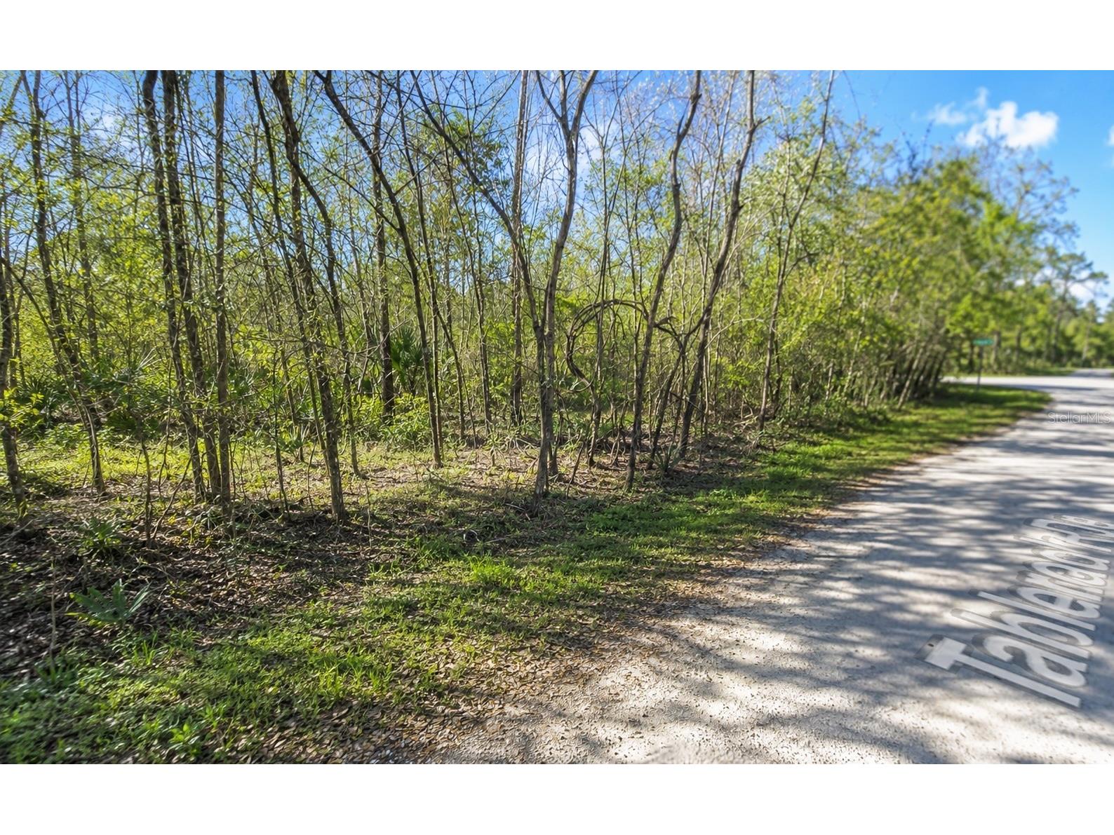 Millrock Street Webster FL 33597 TB8527758 image3