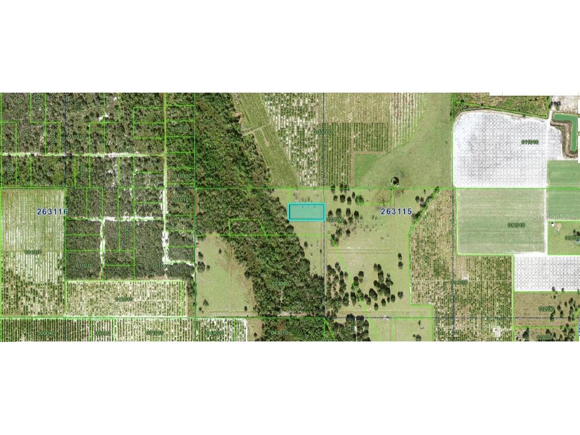 Mills Rd Fort Meade FL 33841 O6267606 image3