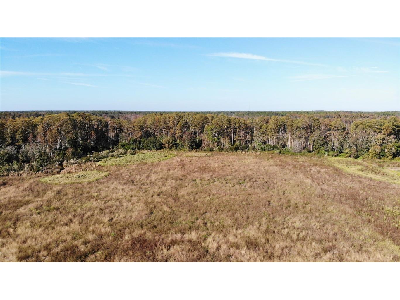 Millstream Drive Groveland FL 34736 G5075477 image1