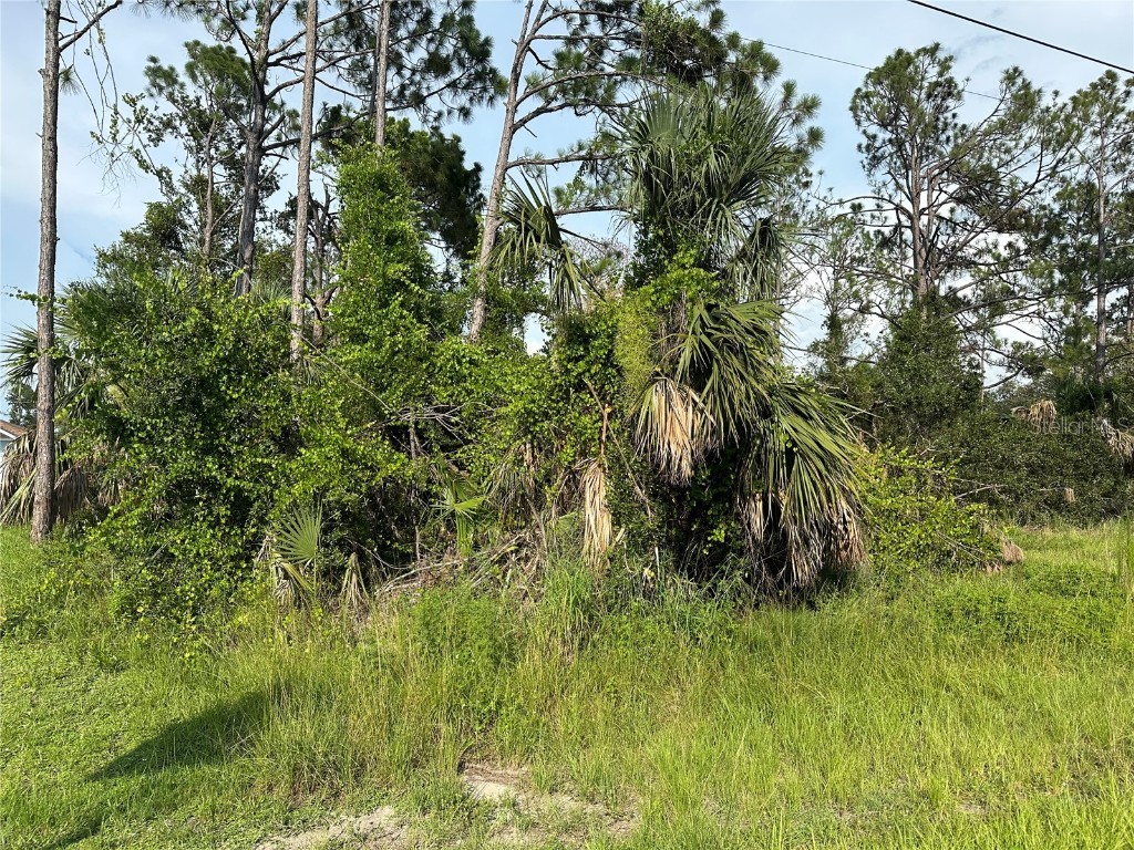 Mincey Terrace North Port FL 34286 C7477583 image1