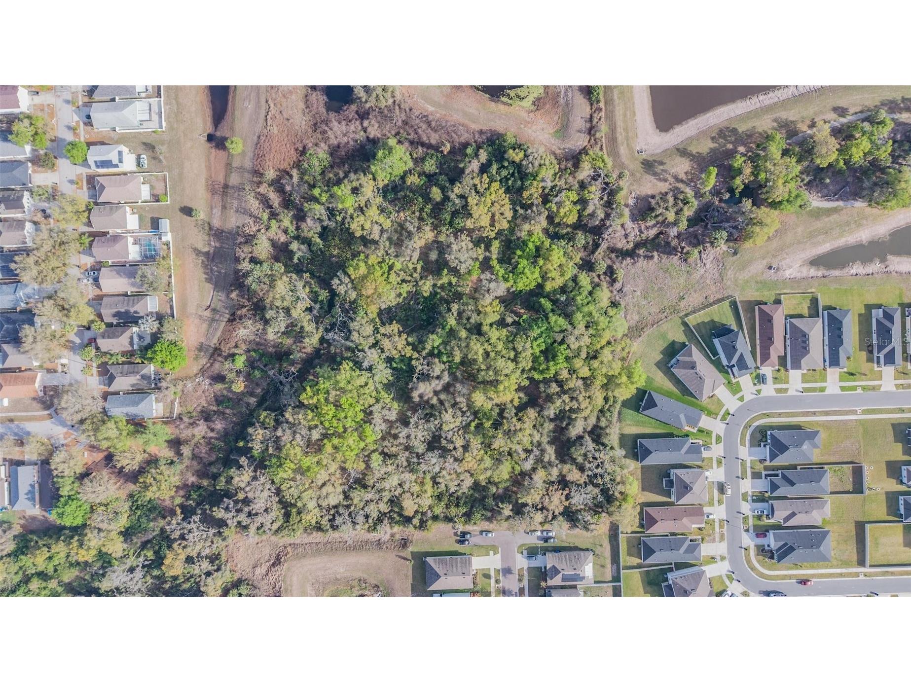 Miracle Mile Riverview FL 33578 TB8486257 image1
