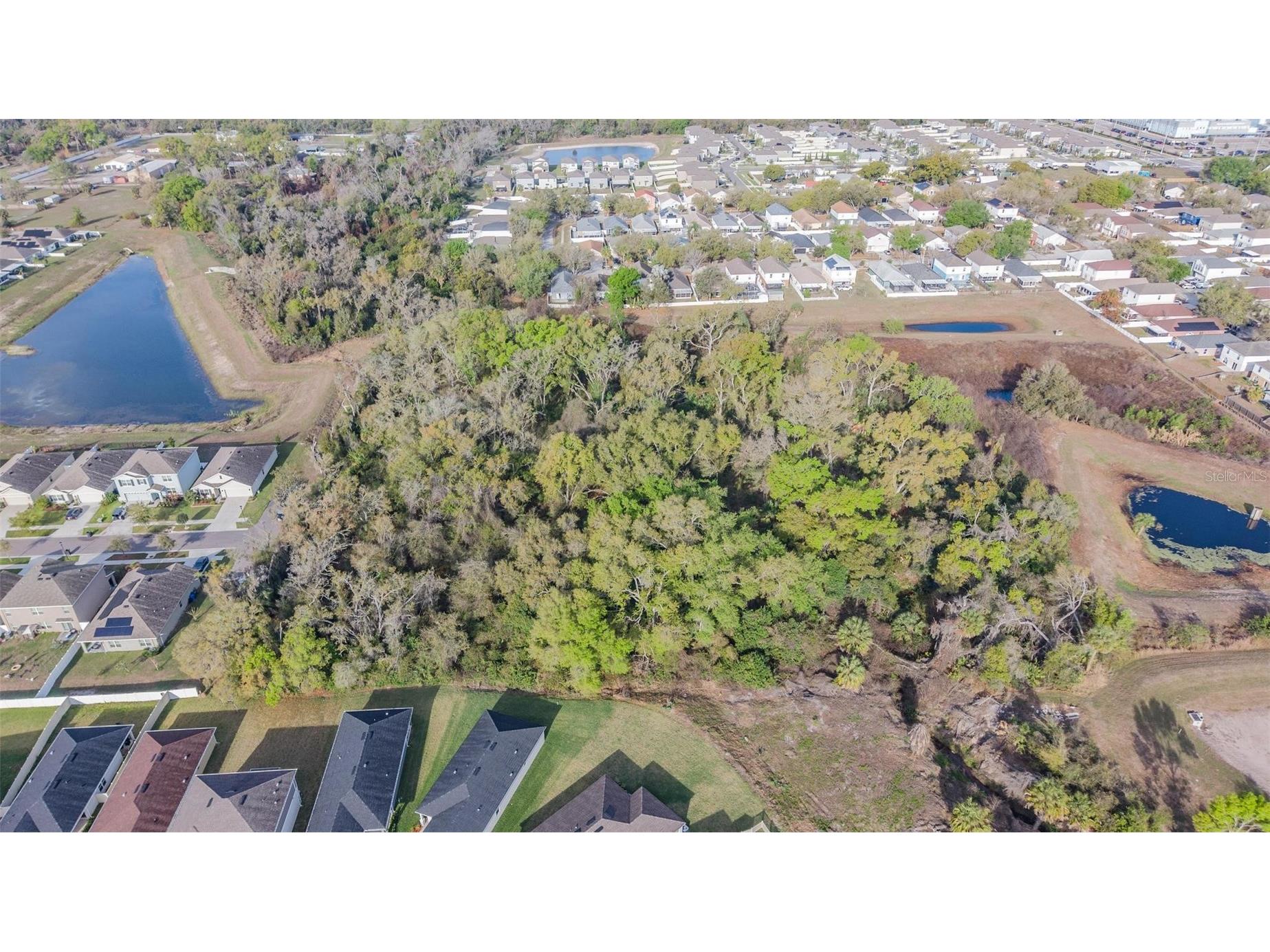 Miracle Mile Riverview FL 33578 TB8486257 image2