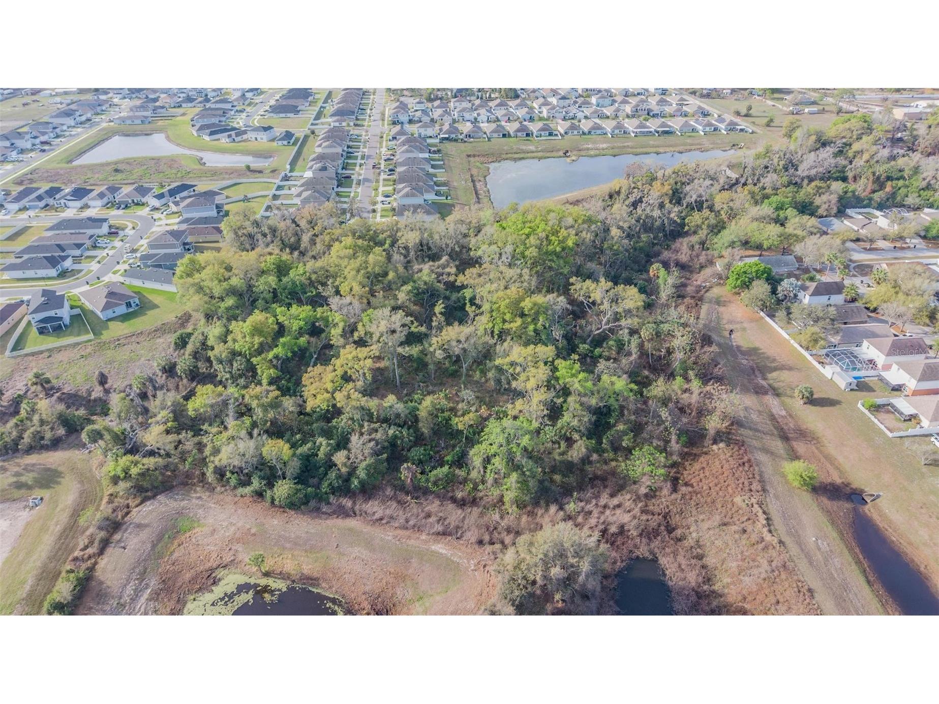Miracle Mile Riverview FL 33578 TB8486257 image3