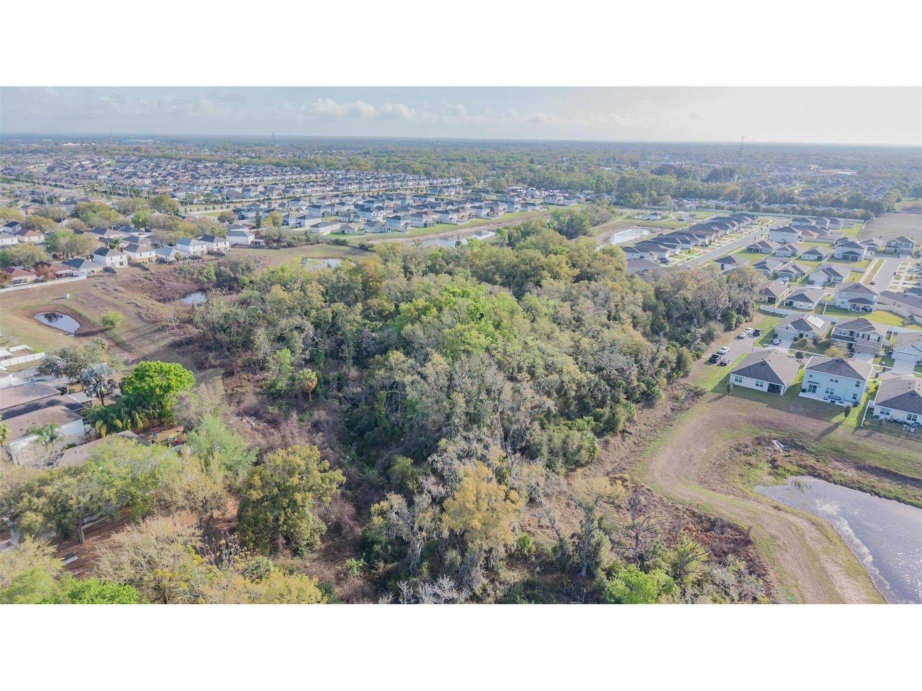 Miracle Mile Riverview FL 33578 TB8486257 image4