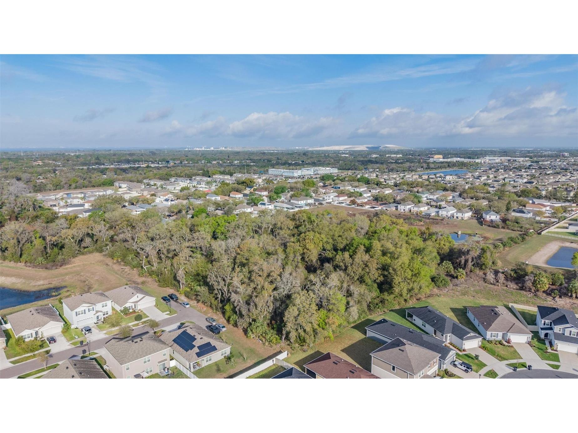 Miracle Mile Riverview FL 33578 TB8486257 image6