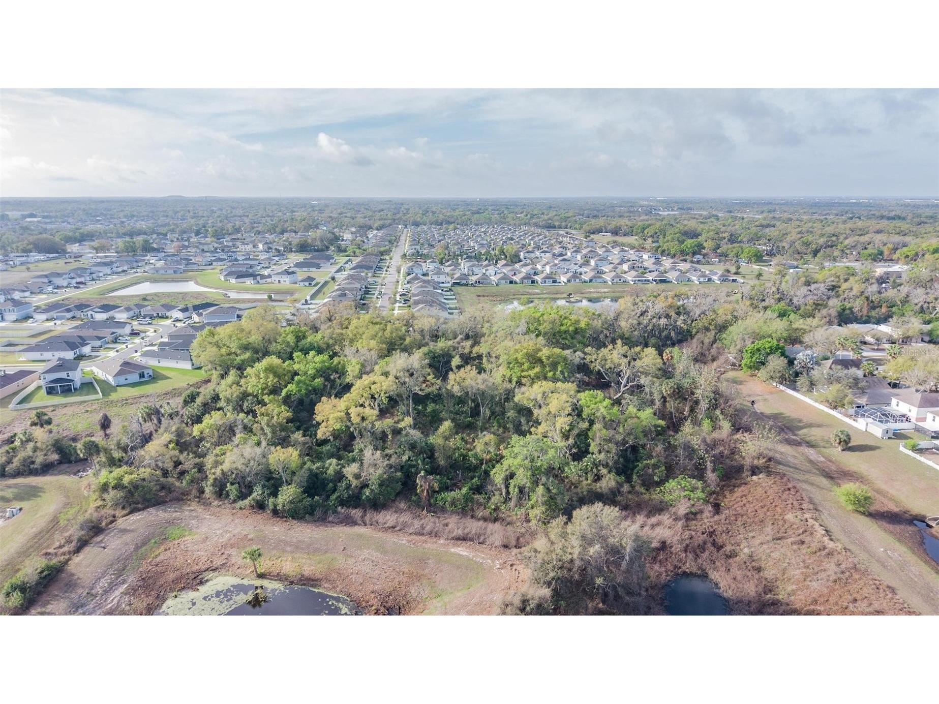 Miracle Mile Riverview FL 33578 TB8486257 image9