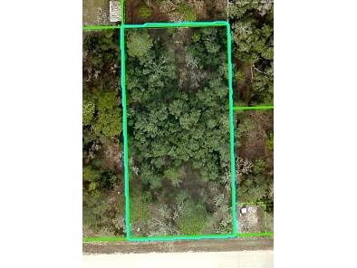 Mississippi Kite Avenue Brooksville FL 34614 W7875889 image1