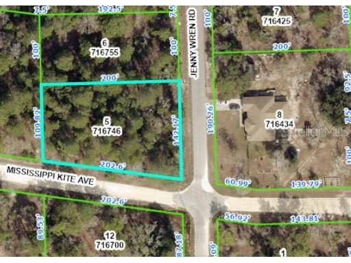 Mississippi Kite Avenue Weeki Wachee FL 34614 W7855661 image1