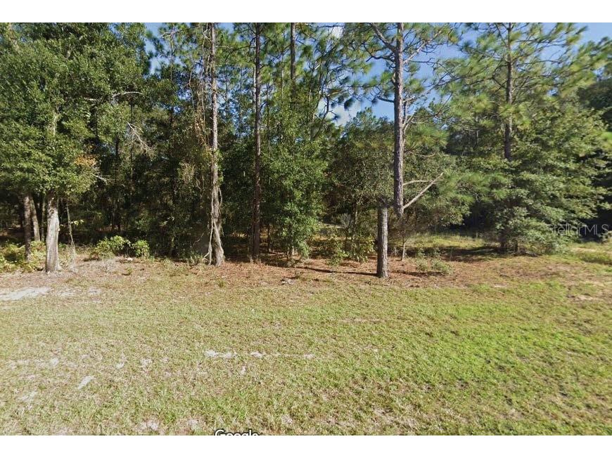 Missouri Avenue Hawthorne FL 32640 O6277225 image1