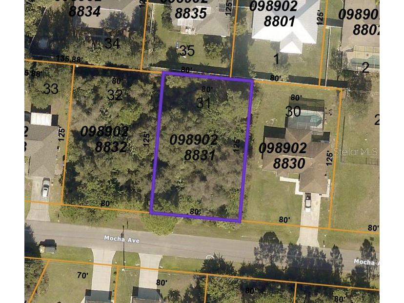 Mocha Avenue North Port FL 34287 D6120969 image1