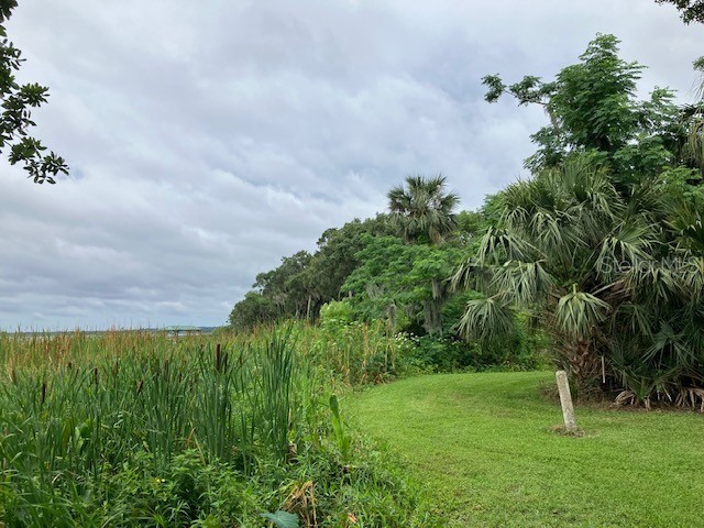 Mockingbird Lane Fruitland Park FL 34731 - LAKE GRIFFIN G5104924 image7