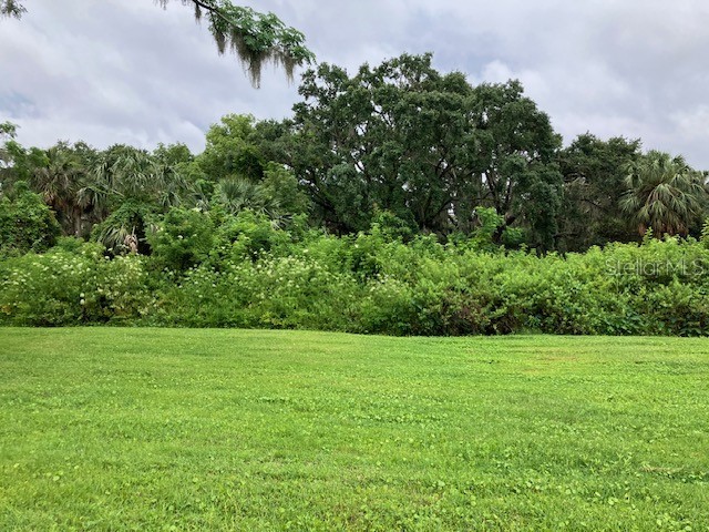 Mockingbird Lane Fruitland Park FL 34731 - LAKE GRIFFIN G5104924 image9