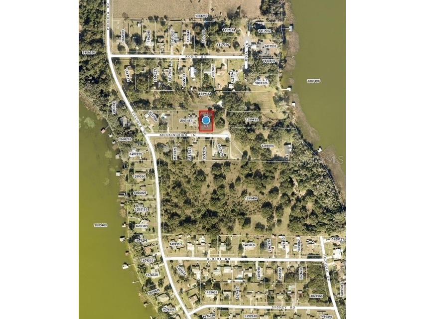 Mockingbird Lane Fruitland Park FL 34731 G5104926 image1