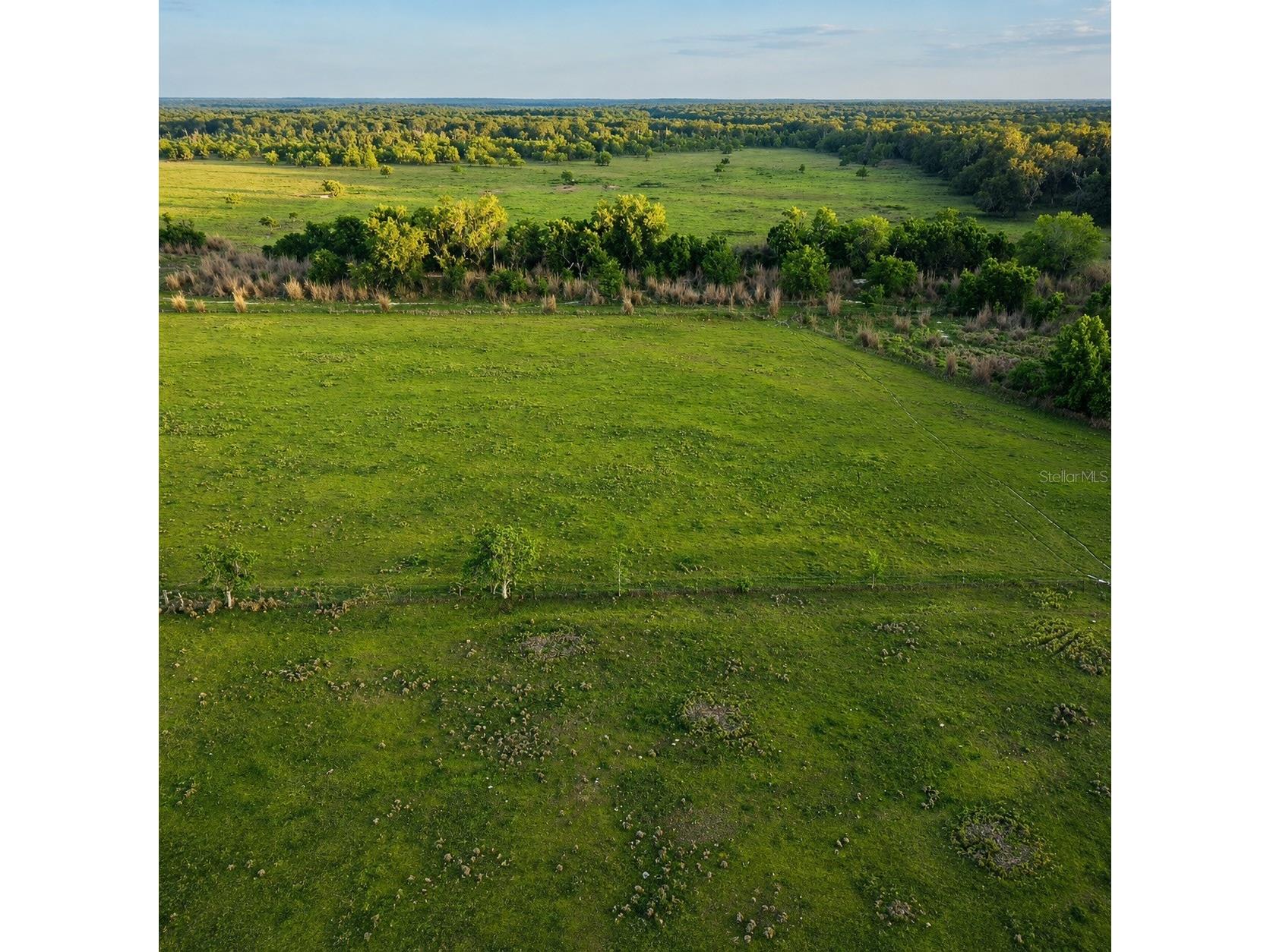 Mondon Hill Road Brooksville FL 34601 W7885540 image16