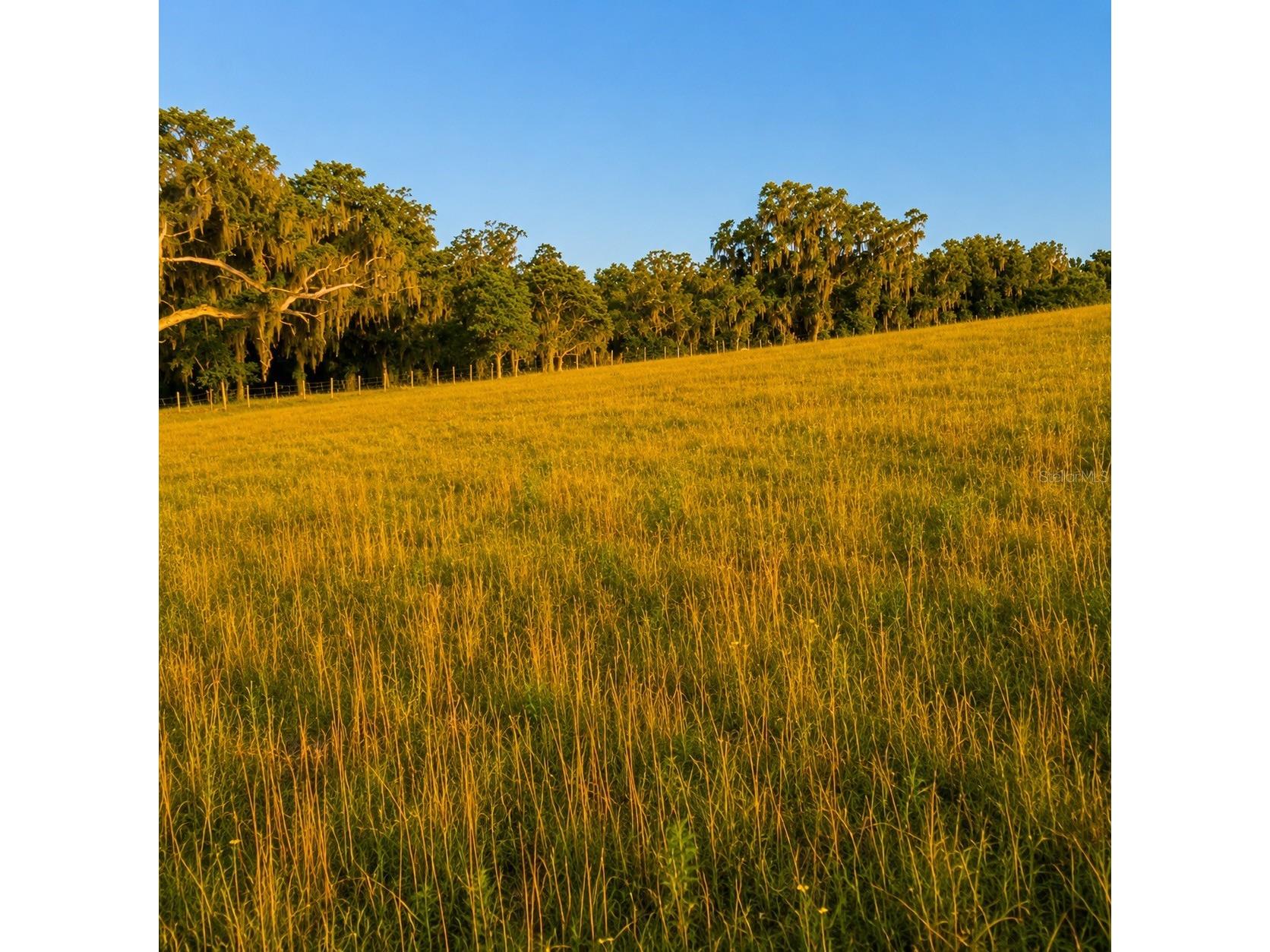 Mondon Hill Road Brooksville FL 34601 W7885540 image18