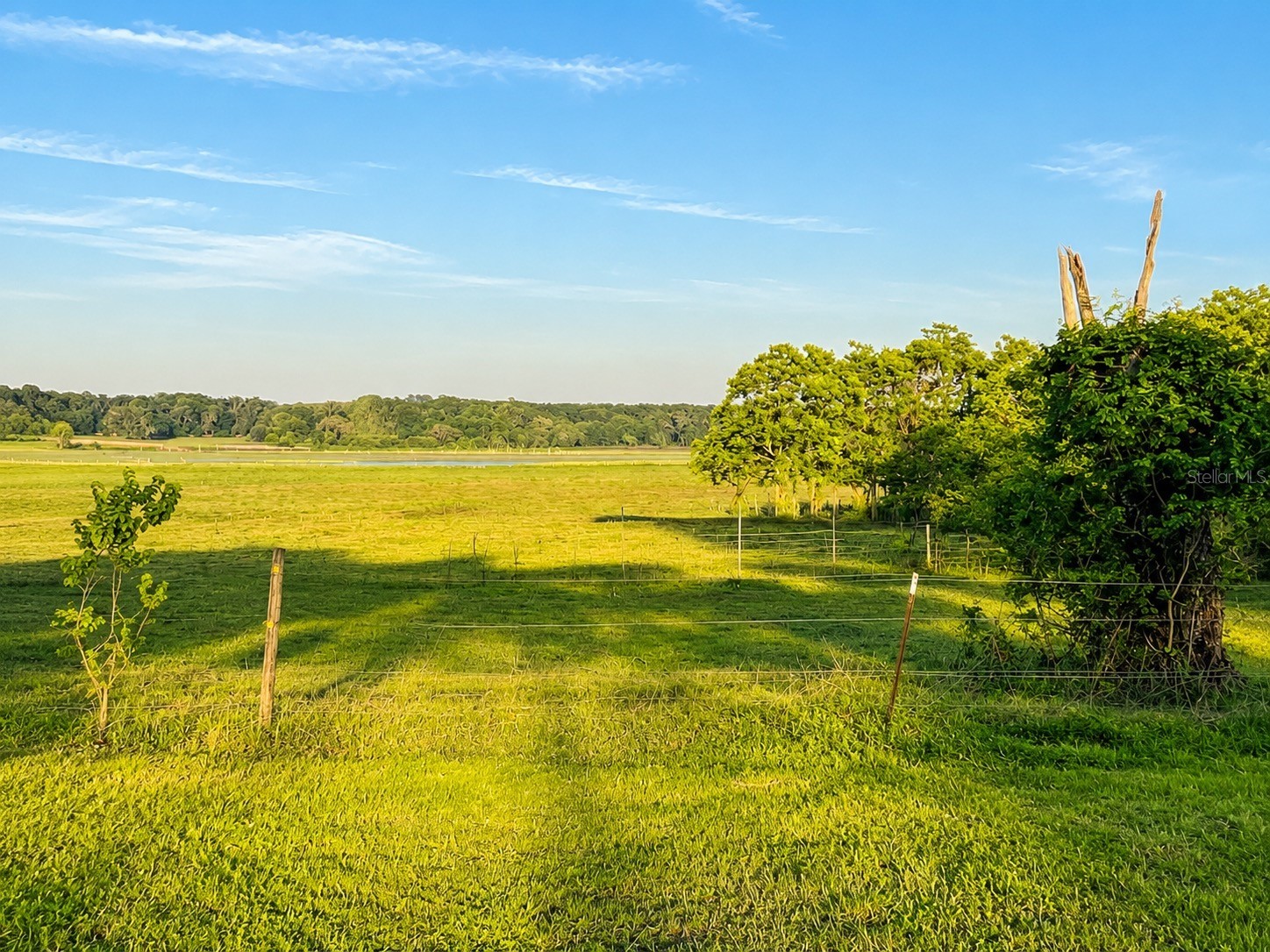 Mondon Hill Road Brooksville FL 34601 W7885540 image20
