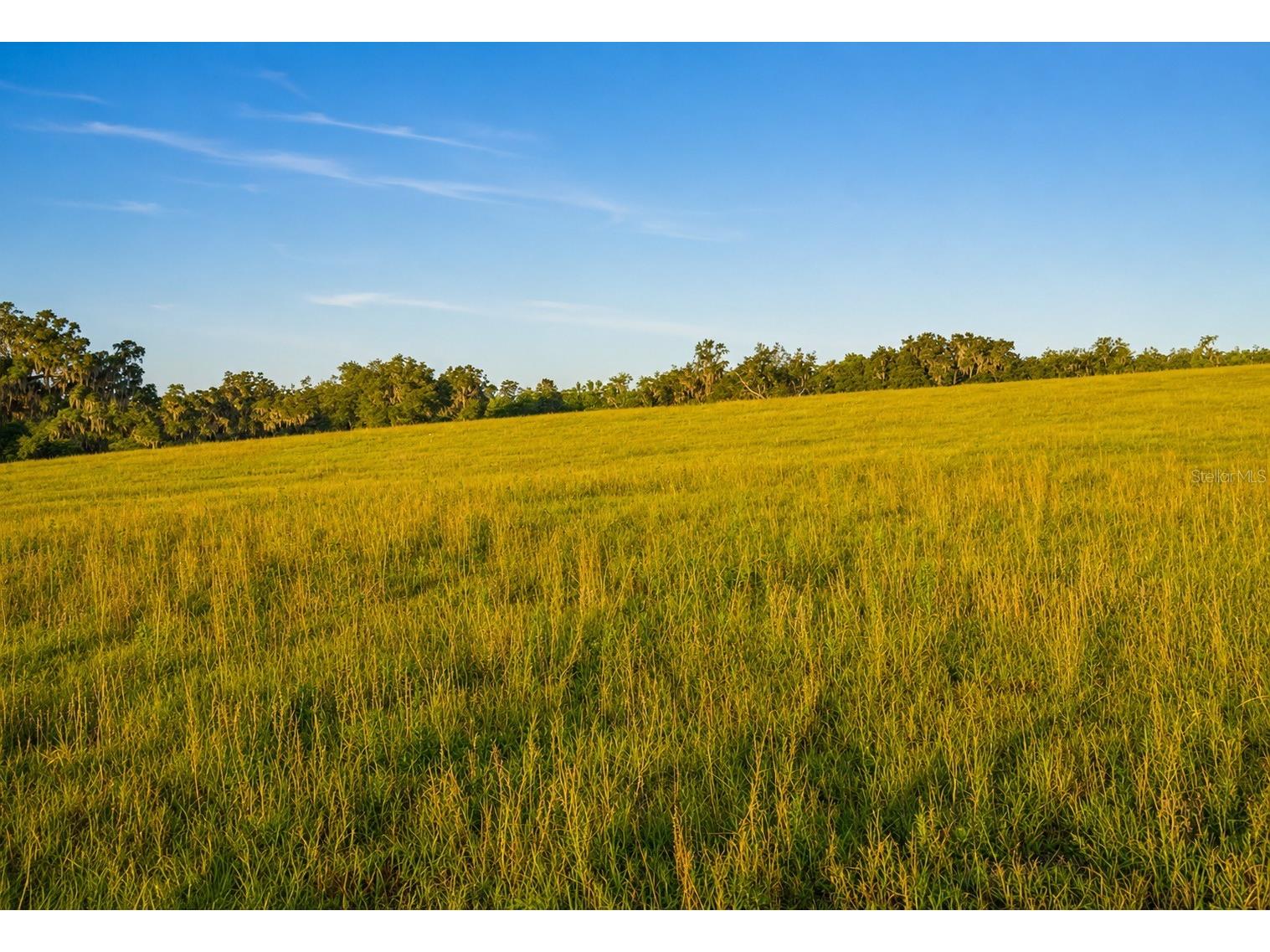 Mondon Hill Road Brooksville FL 34601 W7885540 image21