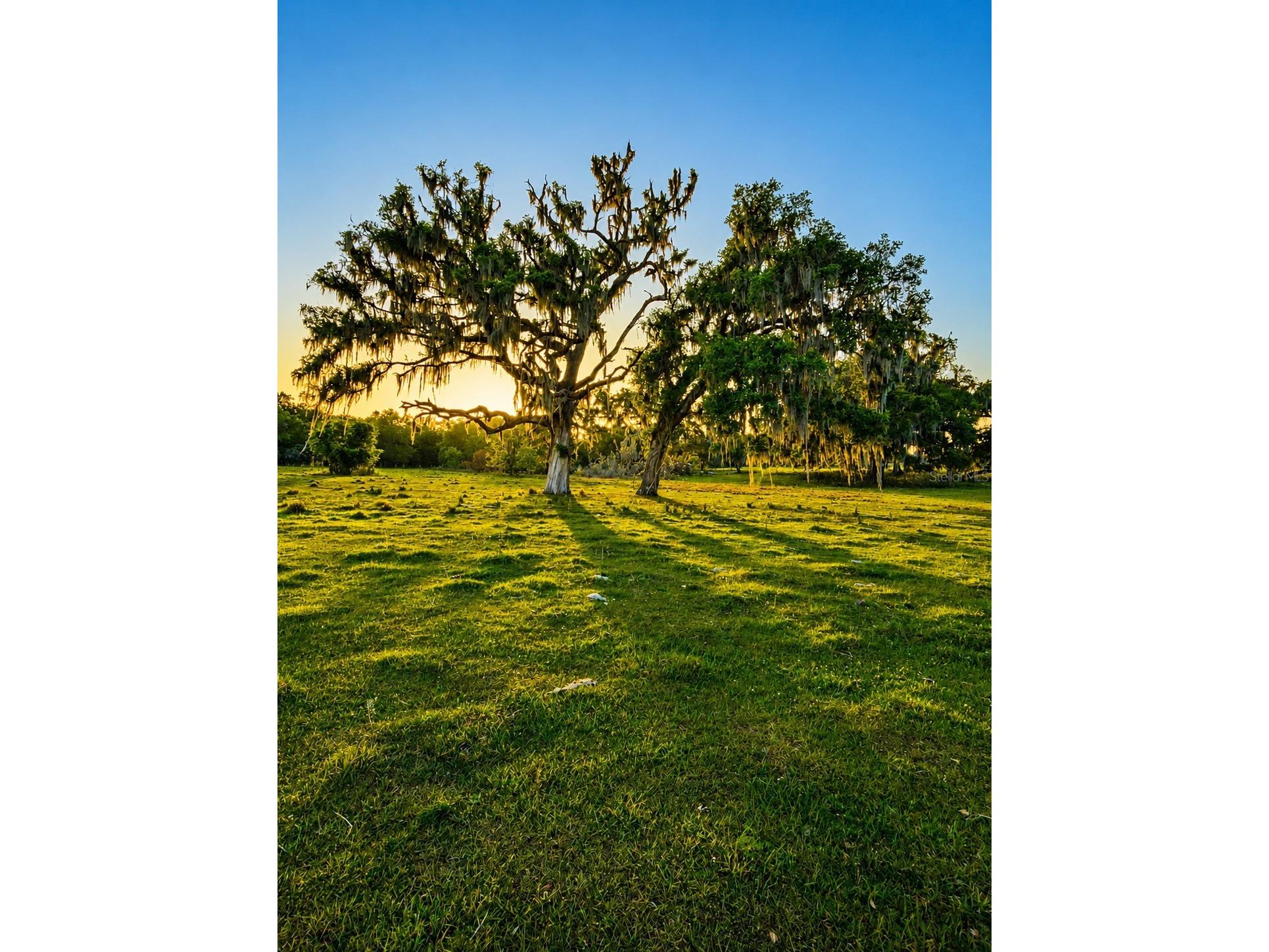 Mondon Hill Road Brooksville FL 34601 W7885540 image23