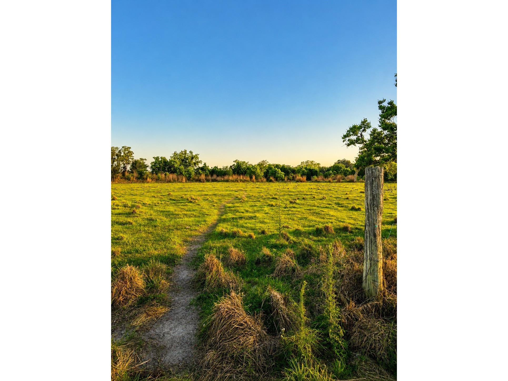 Mondon Hill Road Brooksville FL 34601 W7885540 image24