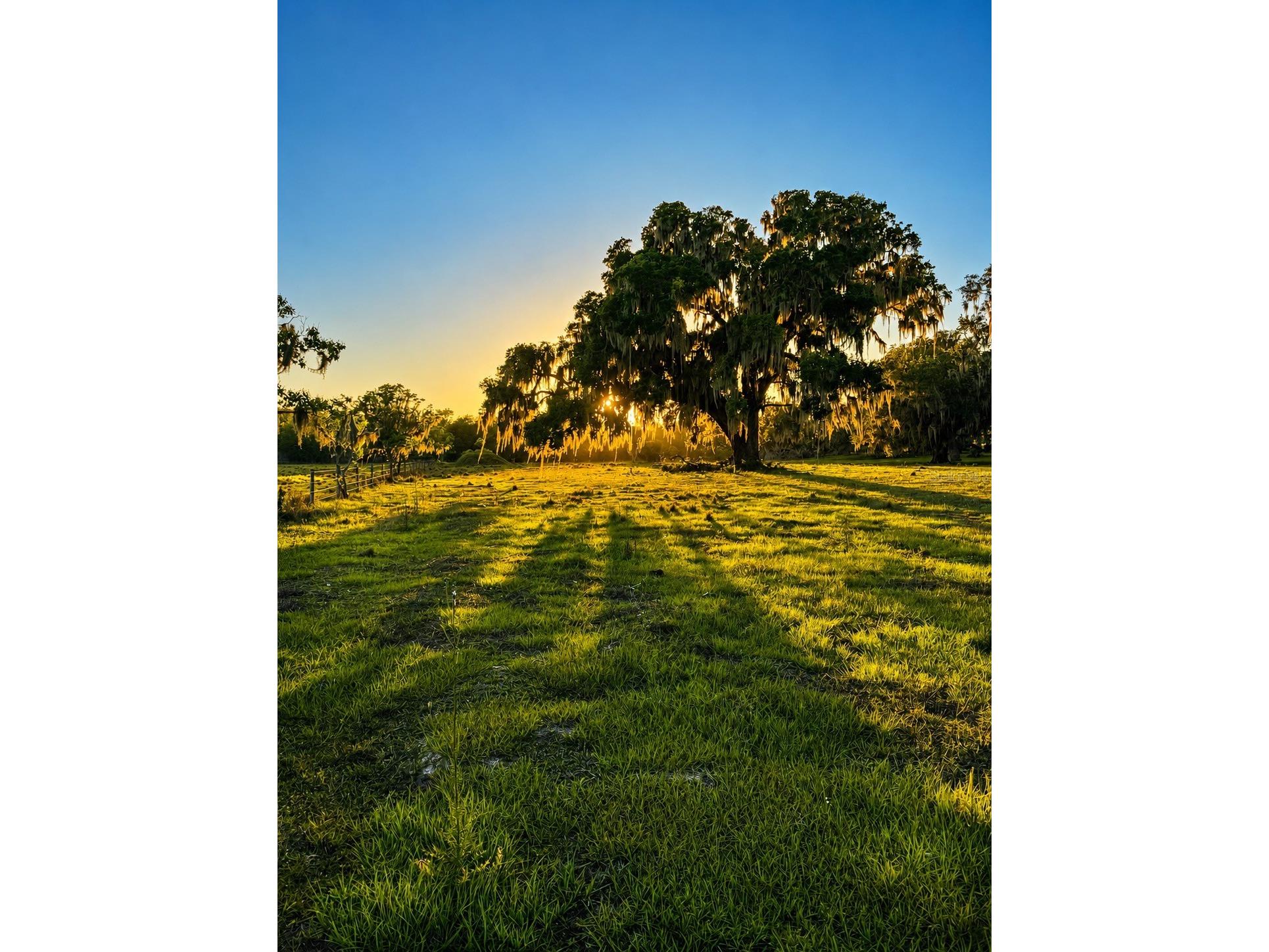 Mondon Hill Road Brooksville FL 34601 W7885540 image26