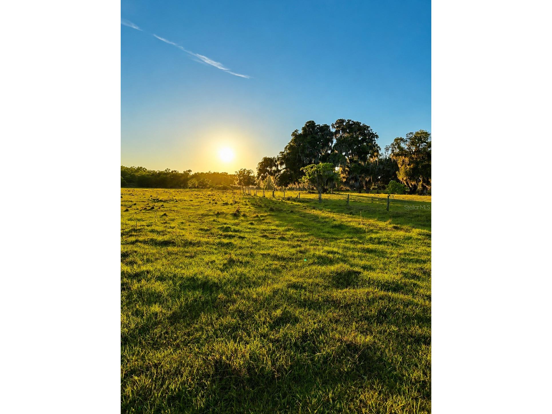 Mondon Hill Road Brooksville FL 34601 W7885540 image27