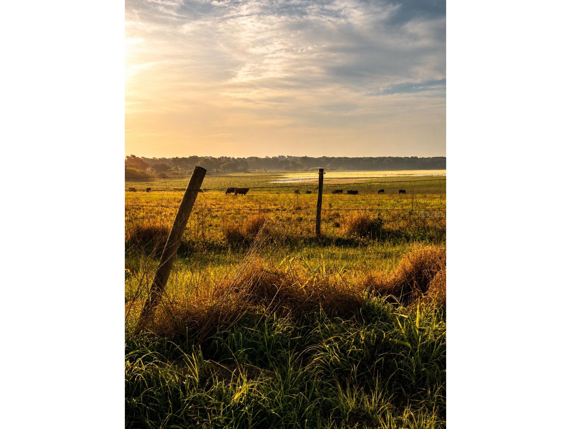 Mondon Hill Road Brooksville FL 34601 W7885540 image28