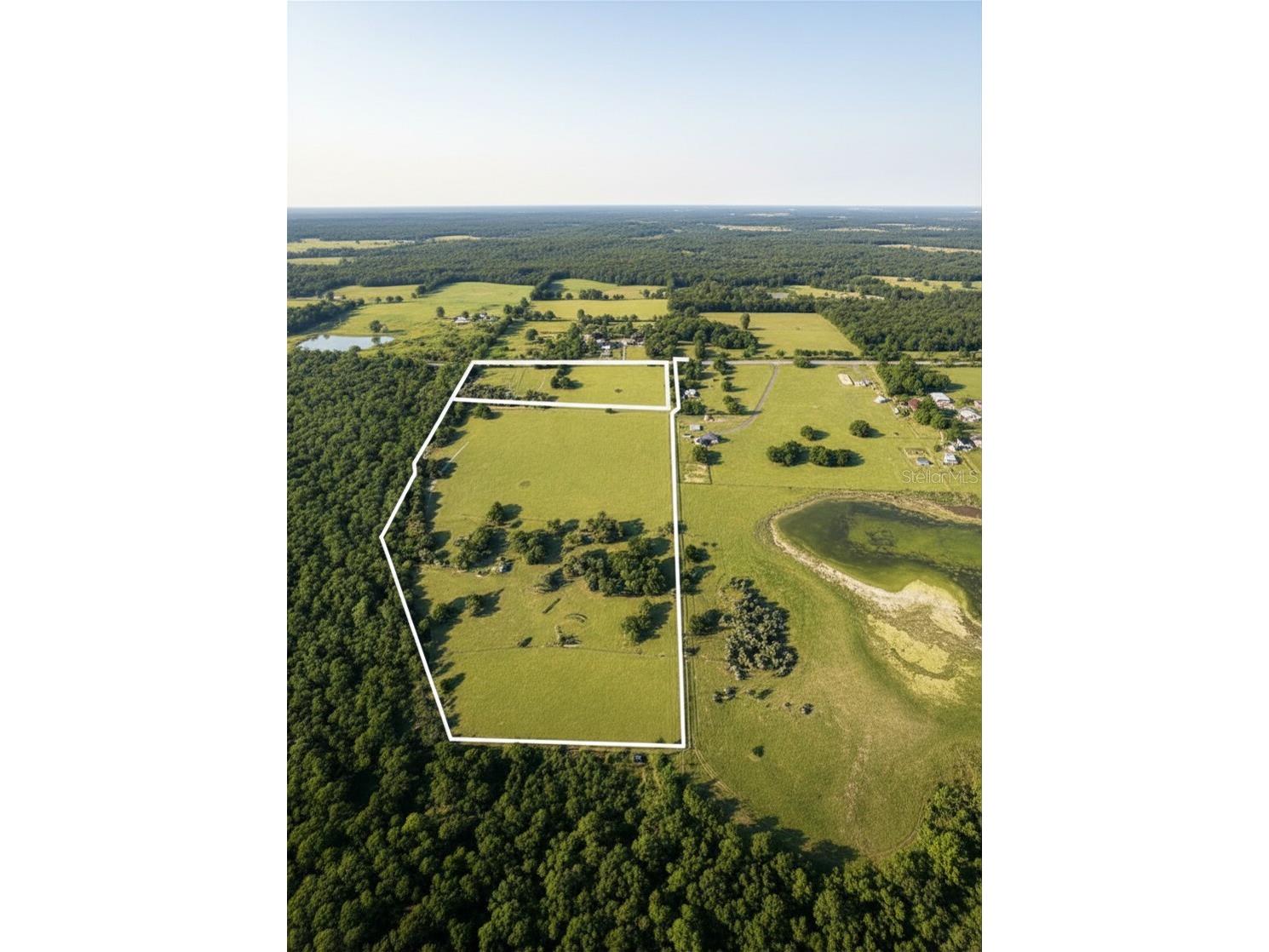 Mondon Hill Road Brooksville FL 34601 W7885540 image3