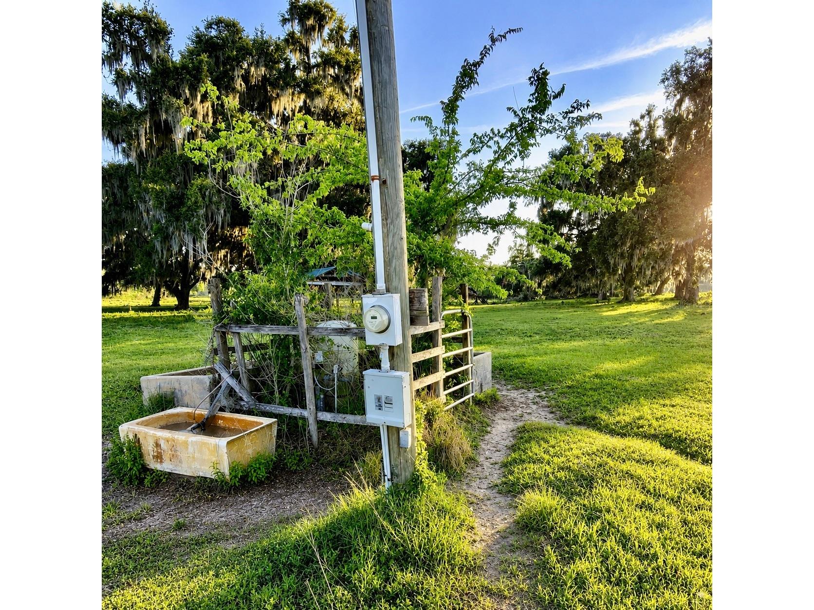 Mondon Hill Road Brooksville FL 34601 W7885540 image5