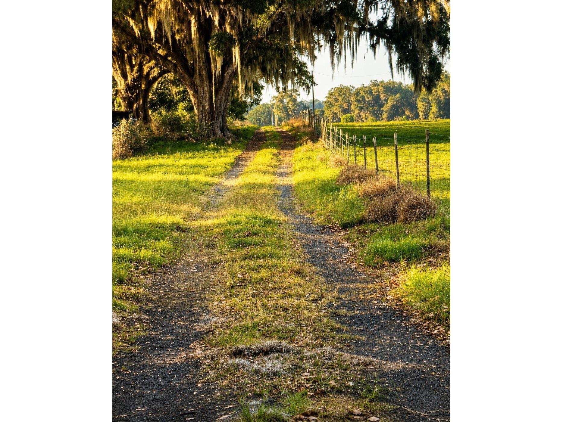 Mondon Hill Road Brooksville FL 34601 W7885540 image8