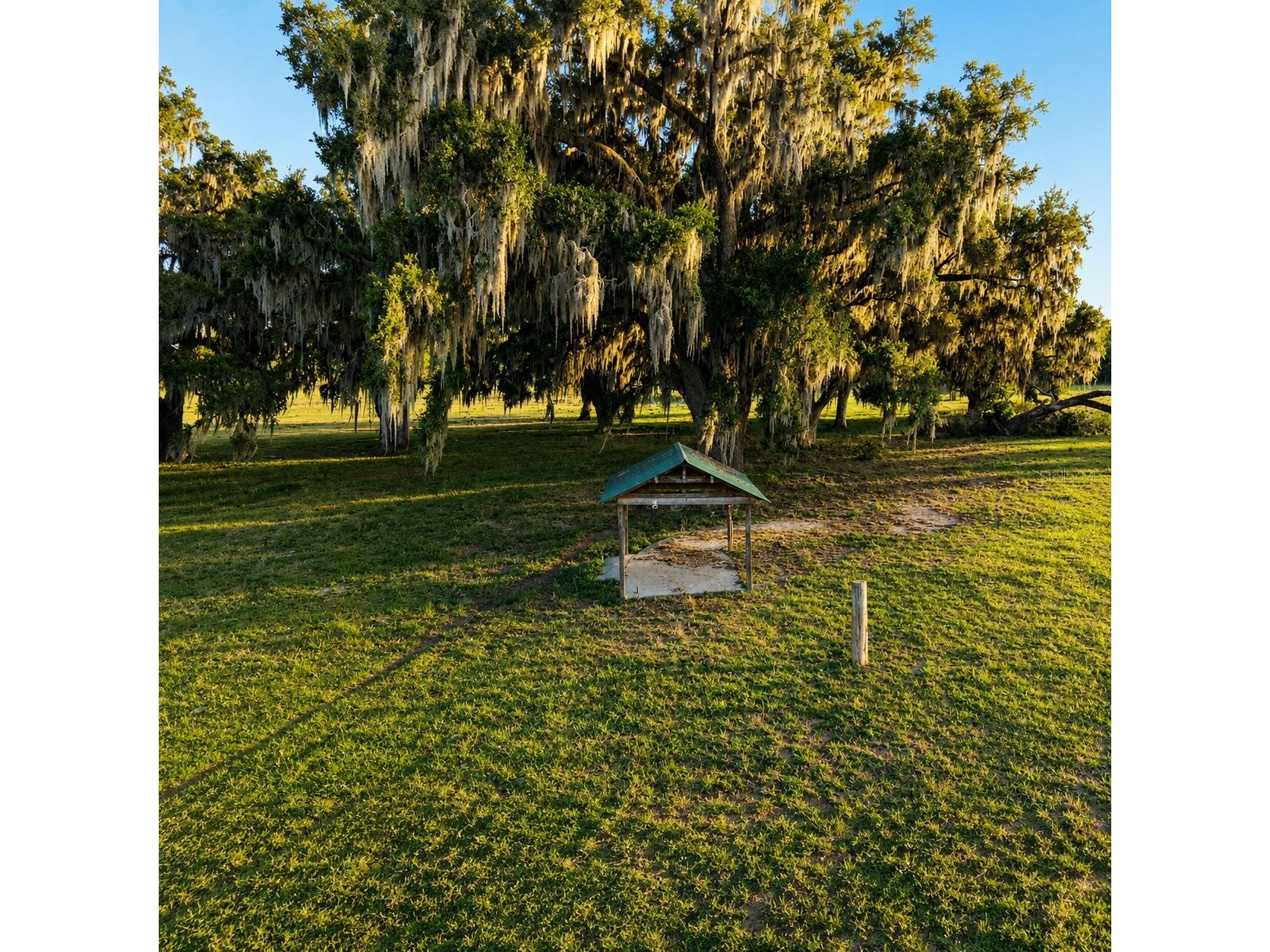 Mondon Hill Road Brooksville FL 34601 W7885540 image9