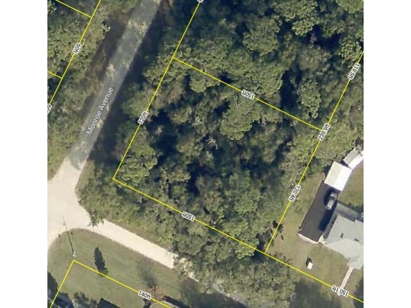 Monroe Ave Masaryktown FL 34604 TB8314366 image1