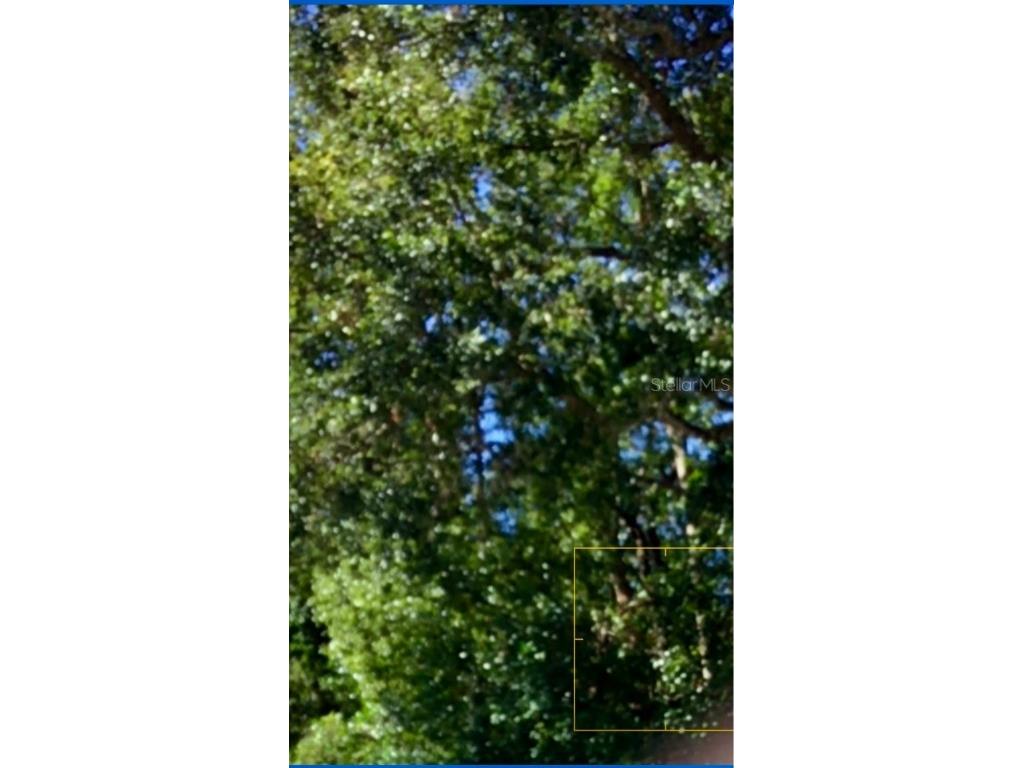 Monroe Masaryktown FL 34604 W7872821 image1