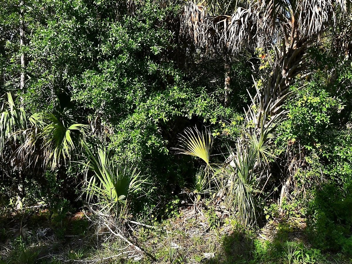 Montcalm Avenue North Port FL 34291 A4689024 image5