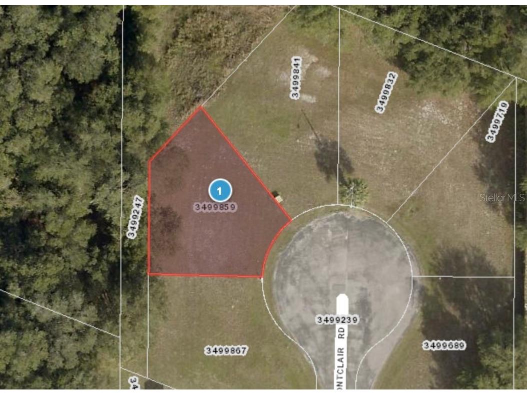 Montclair Road #21 Leesburg FL 34748 OM692716 image2