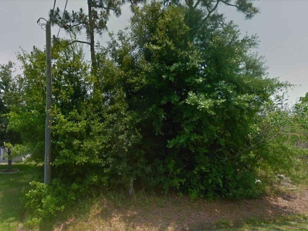 Montgomery Court Kissimmee FL 34758 S5073063 image1