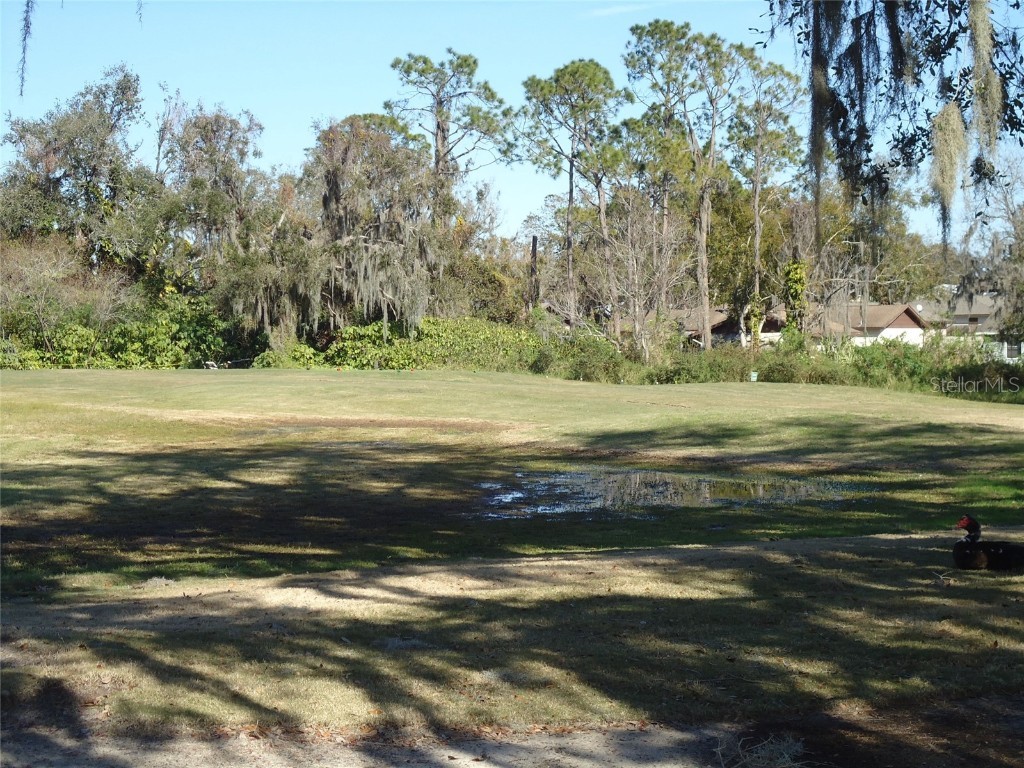 Montreal Drive Lakeland FL 33810 - LAKE LESTER L4950242 image3