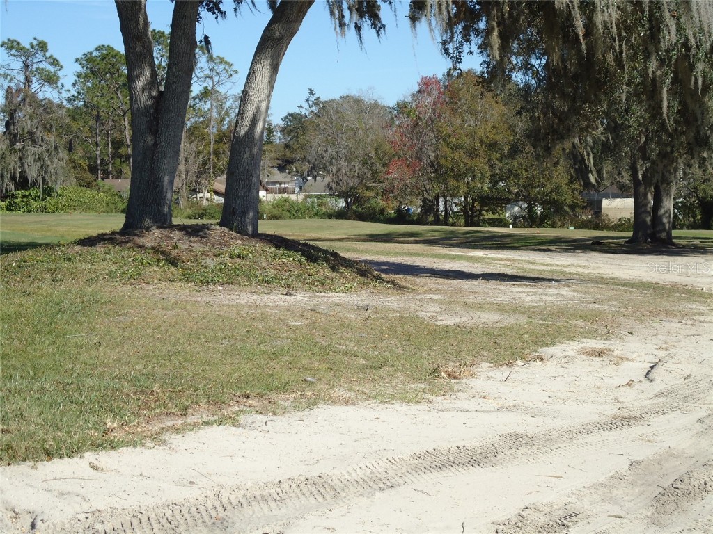 Montreal Drive Lakeland FL 33810 - LAKE LESTER L4950242 image5