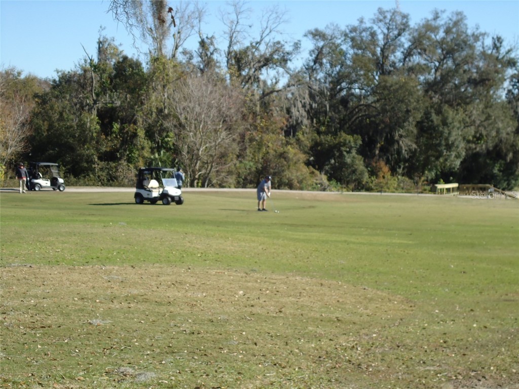 Montreal Drive Lakeland FL 33810 - LAKE LESTER L4950242 image7