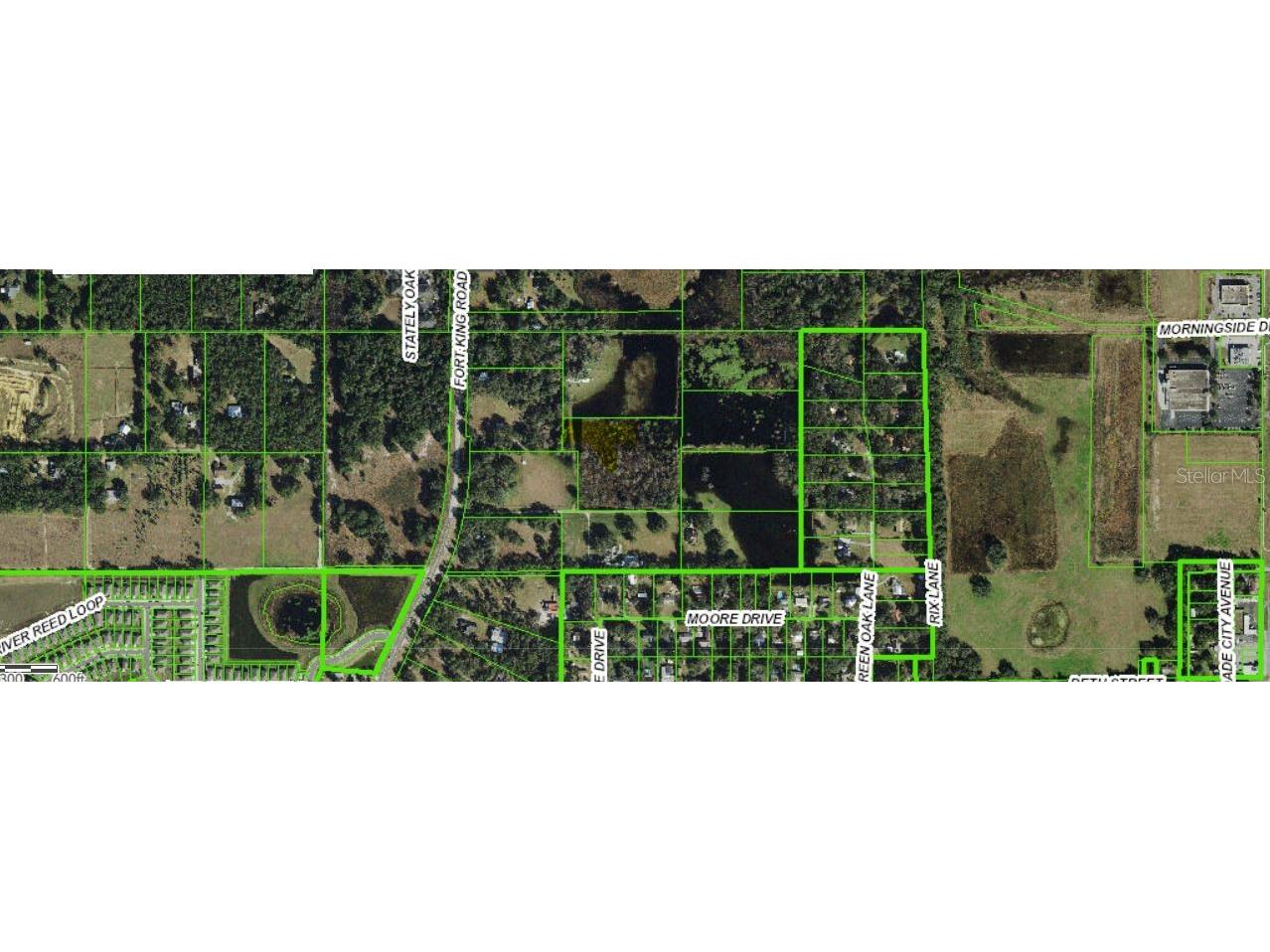 Moore Drive Dade City FL 33525 O6248966 image2