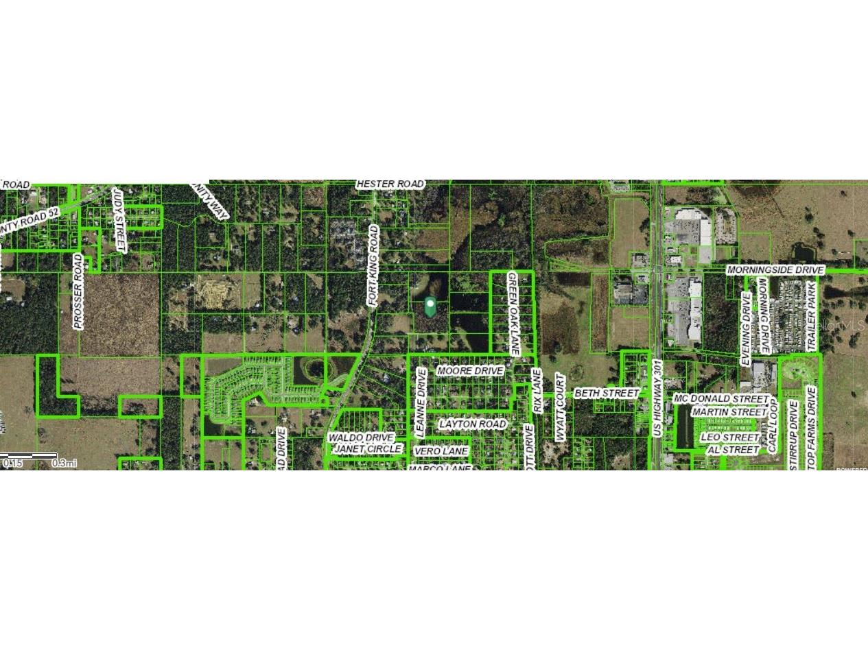 Moore Drive Dade City FL 33525 O6248966 image3