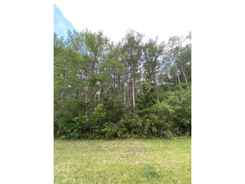 Moorgate Street Orlando FL 32833 O6110443 image1