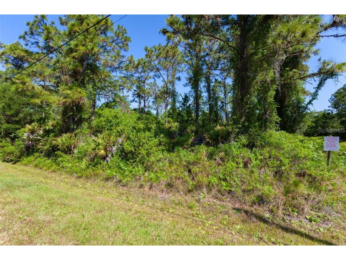 Moorgate Street Orlando FL 32833 O6220667 image1