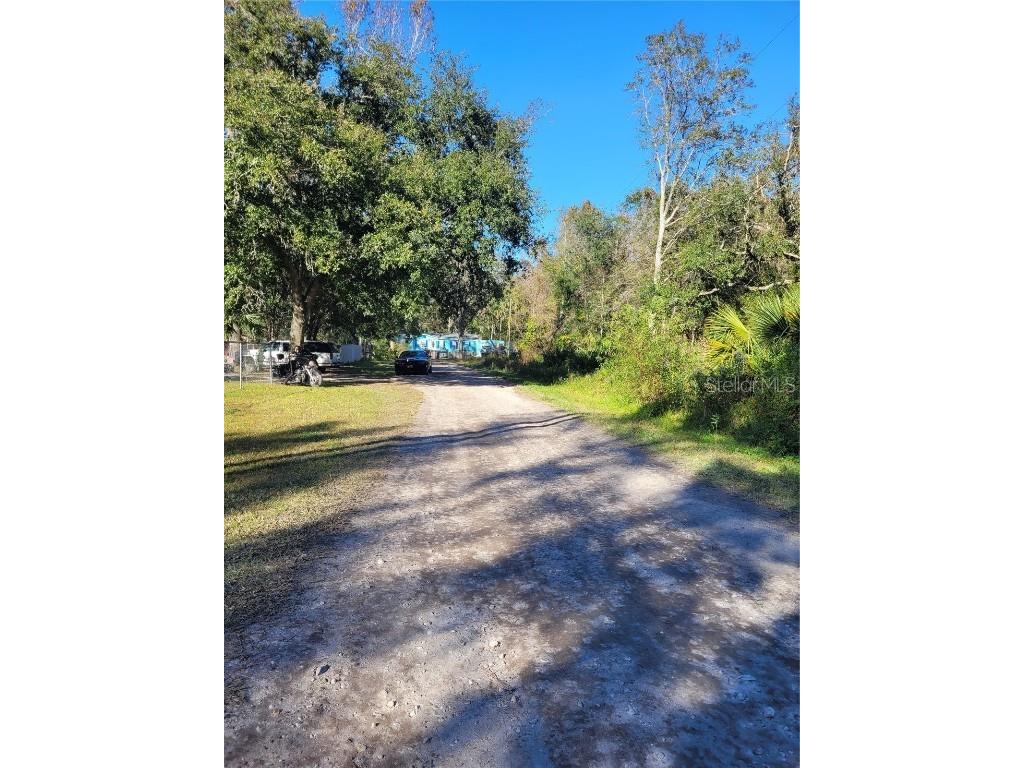 Morena Street #5 New Port Richey FL 34654 W7870547 image10