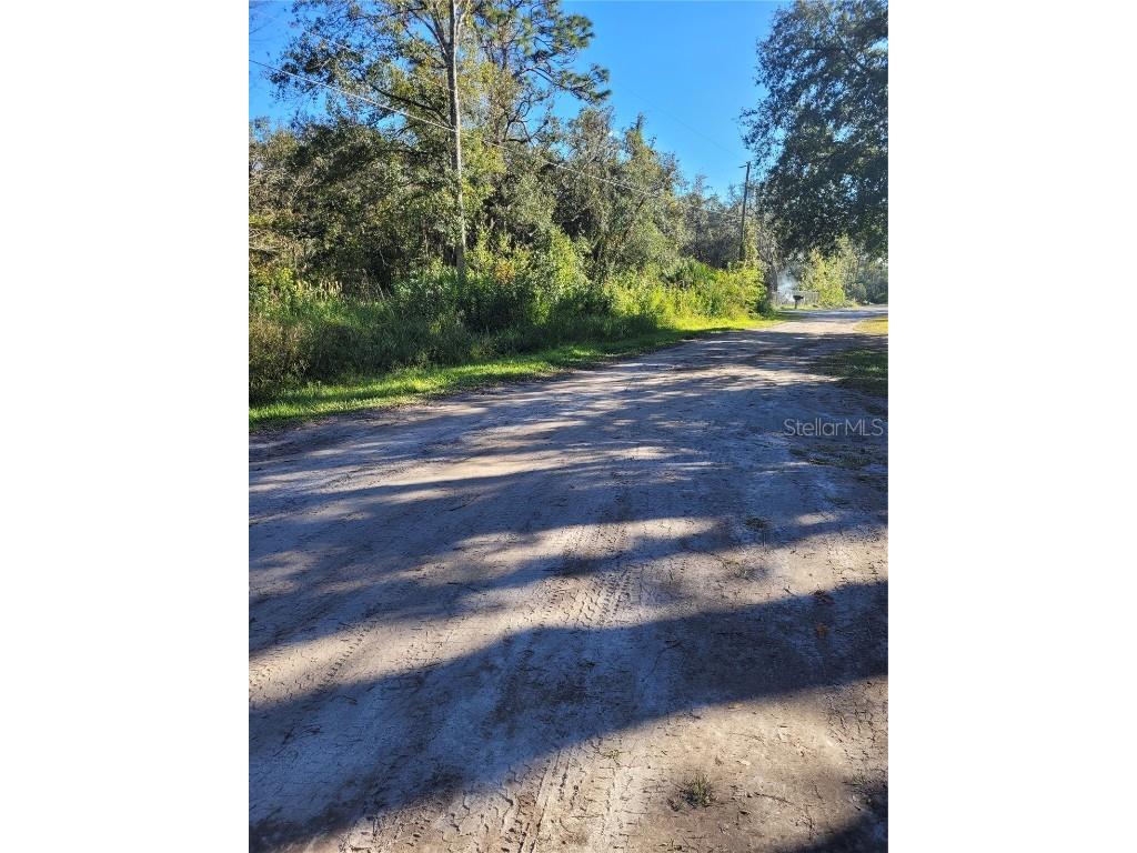 Morena Street #5 New Port Richey FL 34654 W7870547 image2