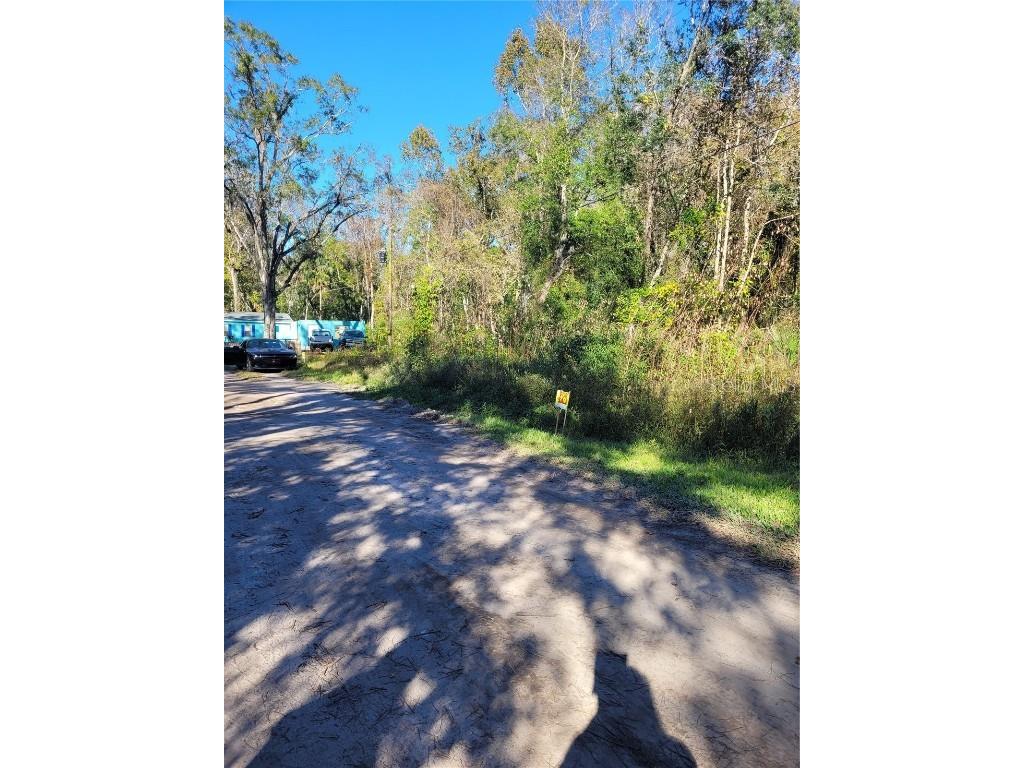 Morena Street #5 New Port Richey FL 34654 W7870547 image3