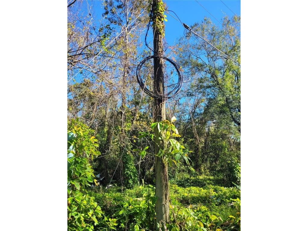 Morena Street #5 New Port Richey FL 34654 W7870547 image5