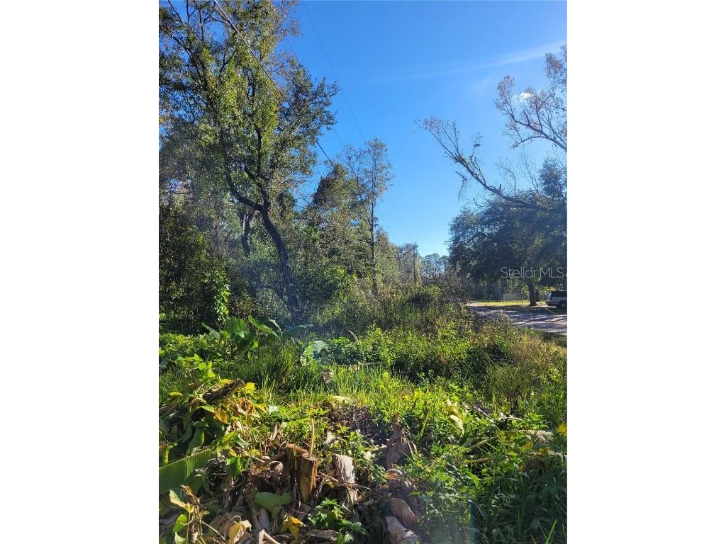 Morena Street #5 New Port Richey FL 34654 W7870547 image6