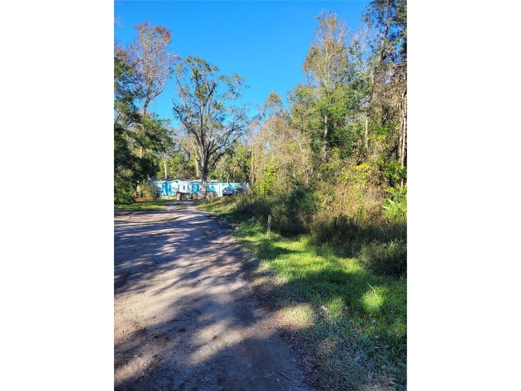 Morena Street #5 New Port Richey FL 34654 W7870547 image8